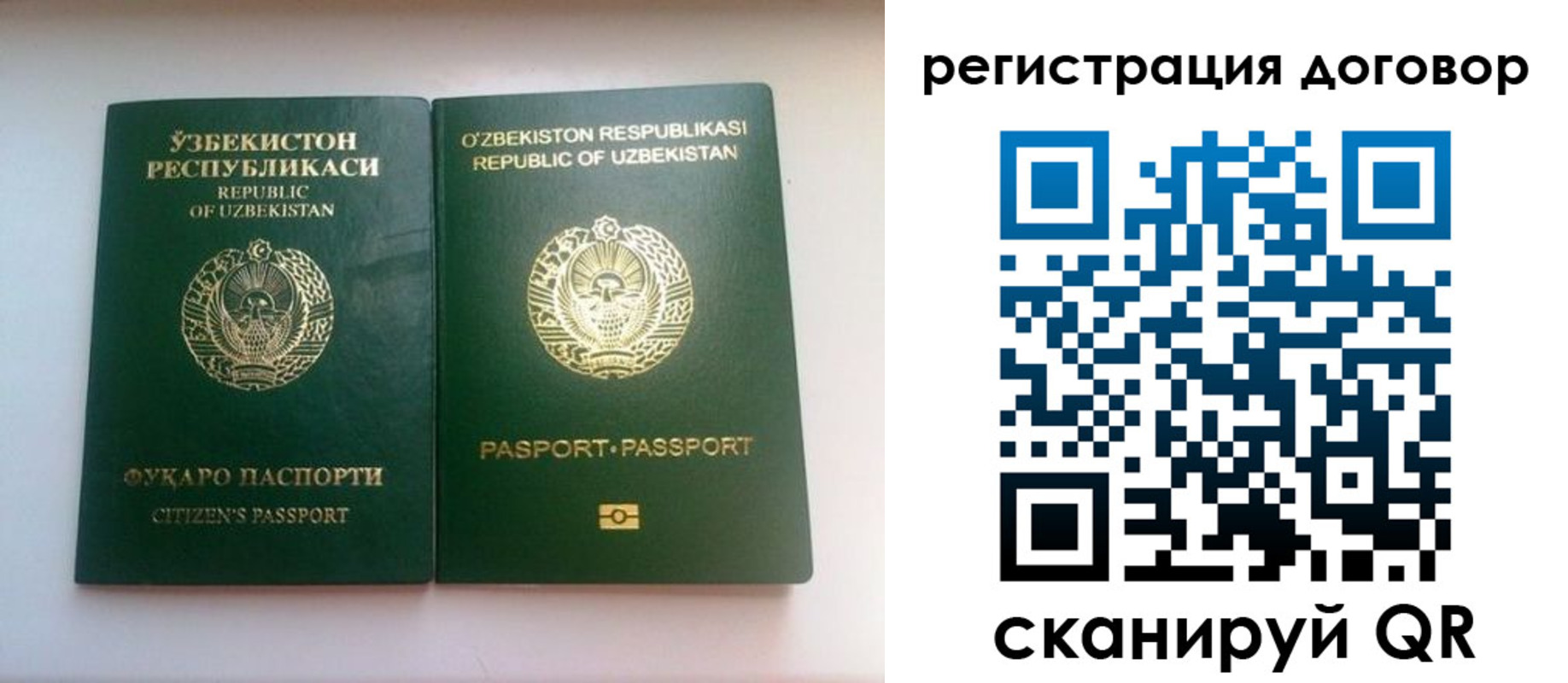 прописка в Ярославской области