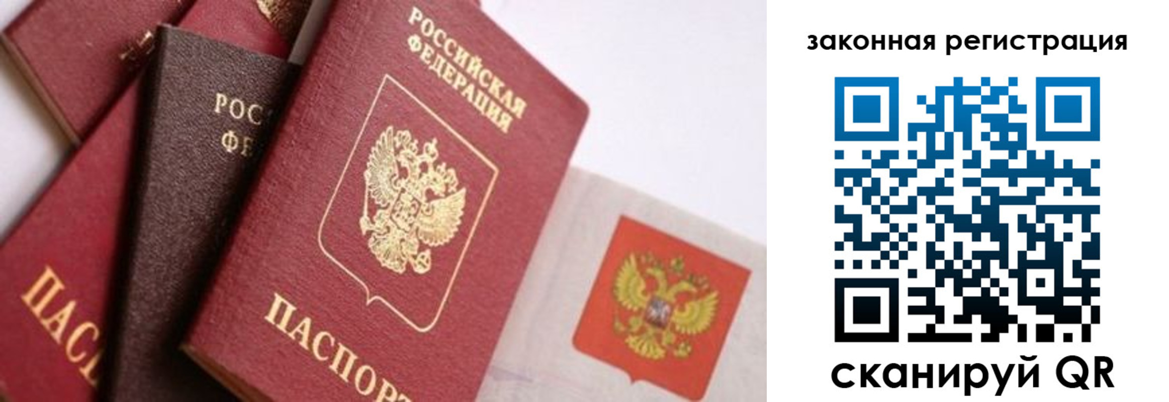 прописка штамп в Ярославской области